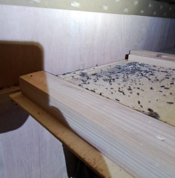 山口県美祢市　ネズミによる被害　I様邸　駆除実績