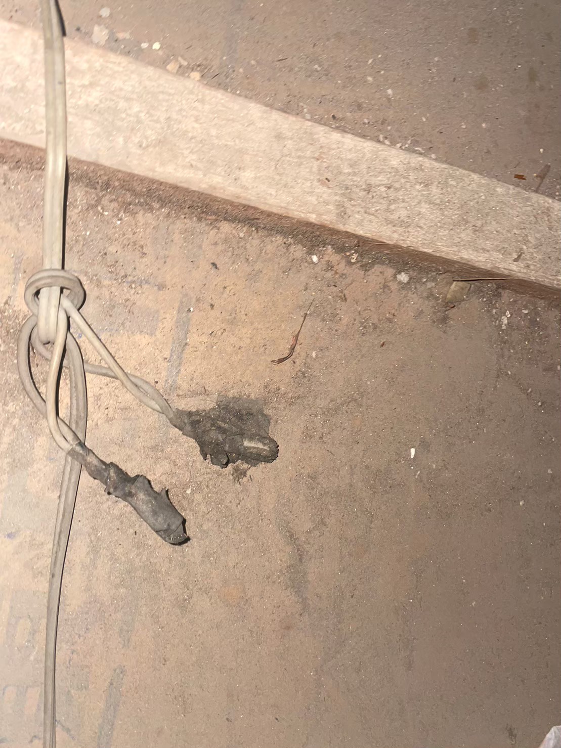 佐賀県神崎市　ネズミによる被害　S様邸　駆除実績