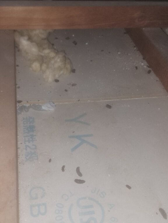 大分県九重町　ネズミによる被害　I様邸　駆除実績