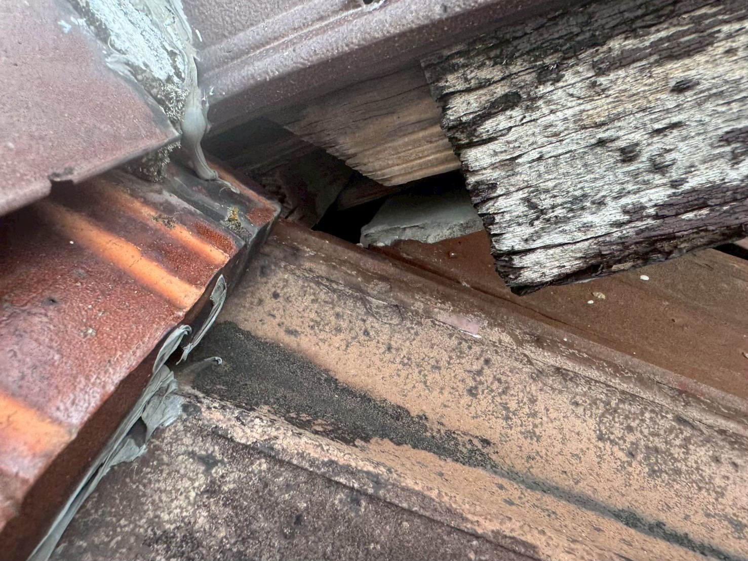 山口県美祢市　ネズミによる被害　I様邸　駆除実績