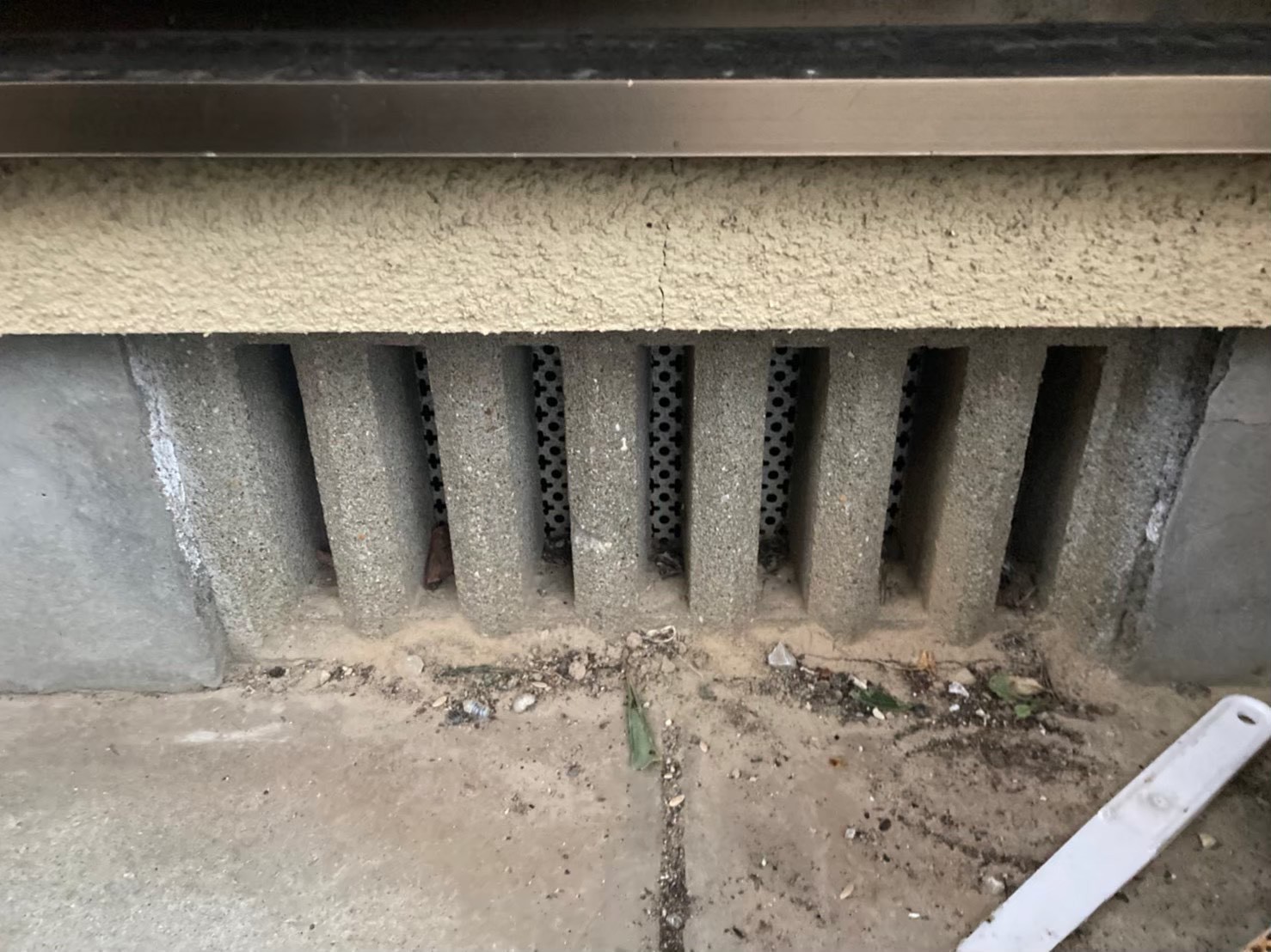 ネズミ・コウモリによる被害　M様邸　駆除実績