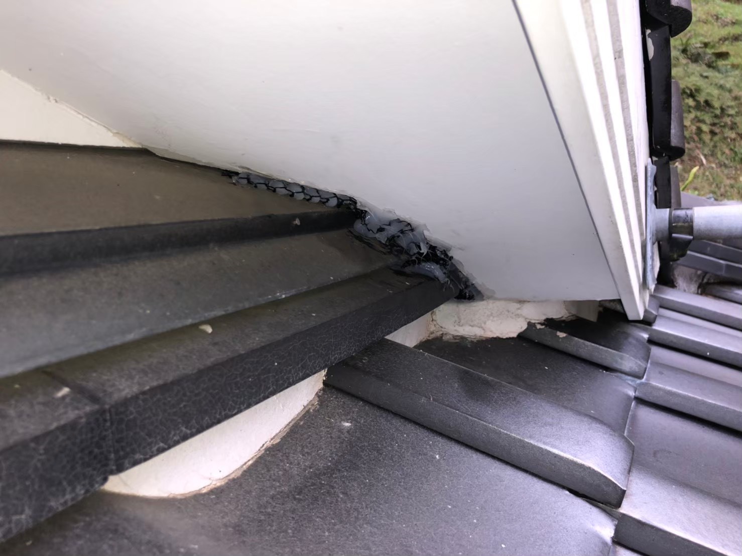 ネズミによる被害　I様邸　駆除実績