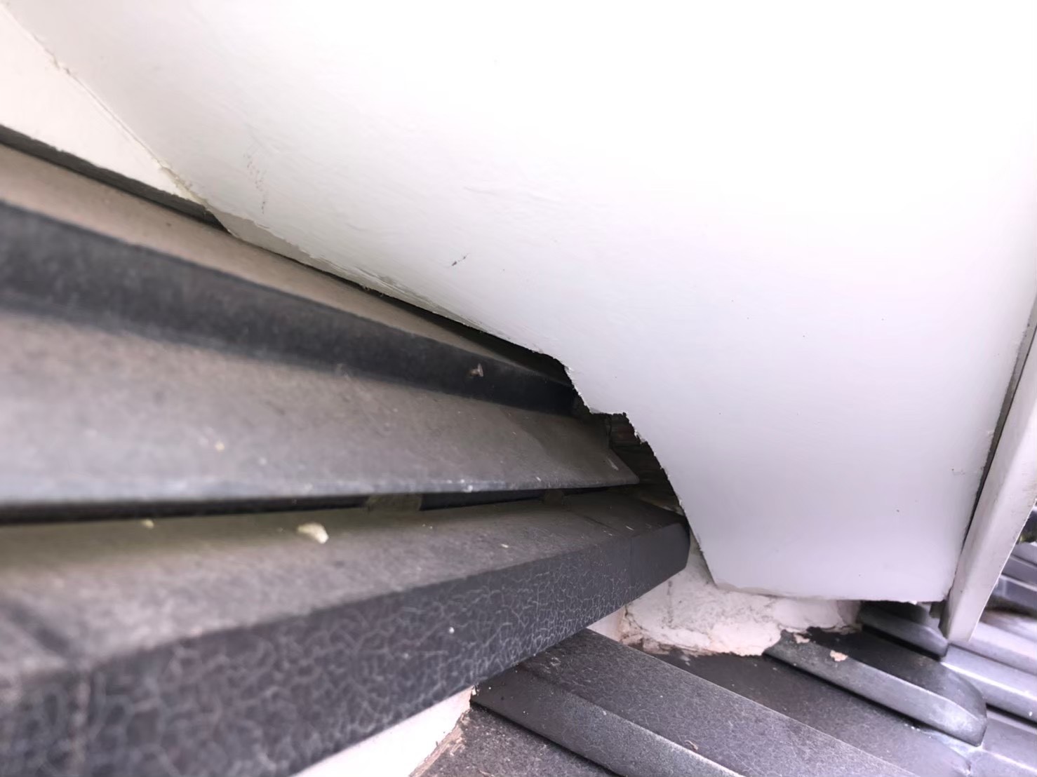 ネズミによる被害　I様邸　駆除実績