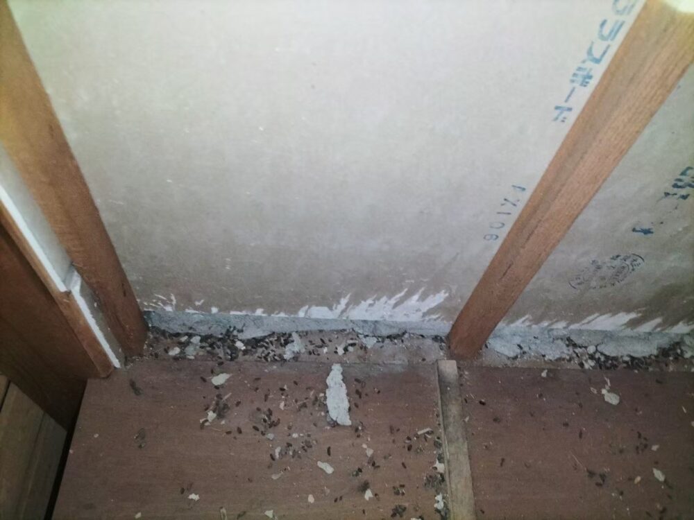 福岡県福岡市　ネズミによる被害　H様邸　駆除実績