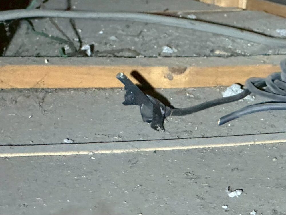 山口県美祢市　ネズミによる被害　I様邸　駆除実績