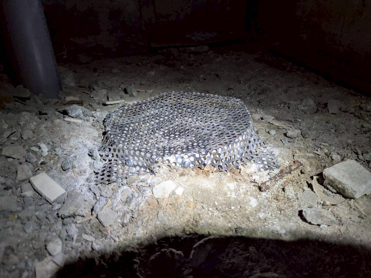 熊本県上益城郡嘉島町　ネズミによる被害　M様邸　駆除実績