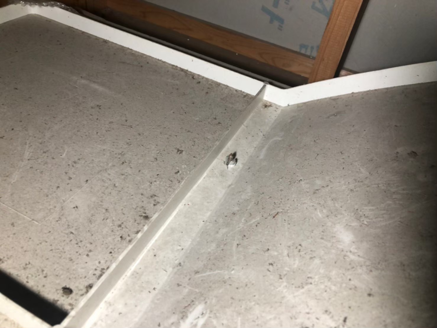 福岡県八女市広川町　ネズミによる被害　T様邸　駆除実績