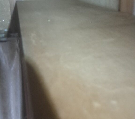 大分県九重町　ネズミによる被害　I様邸　駆除実績