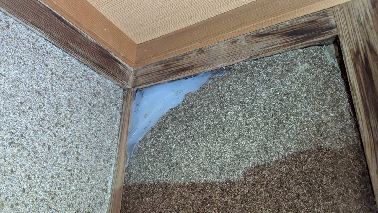 長崎県由布市　ネズミによる被害　Y様邸　駆除実績