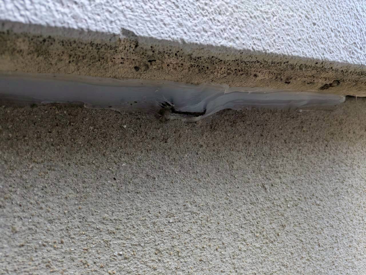 熊本県球磨郡山江村　ネズミによる被害　S様邸　駆除実績