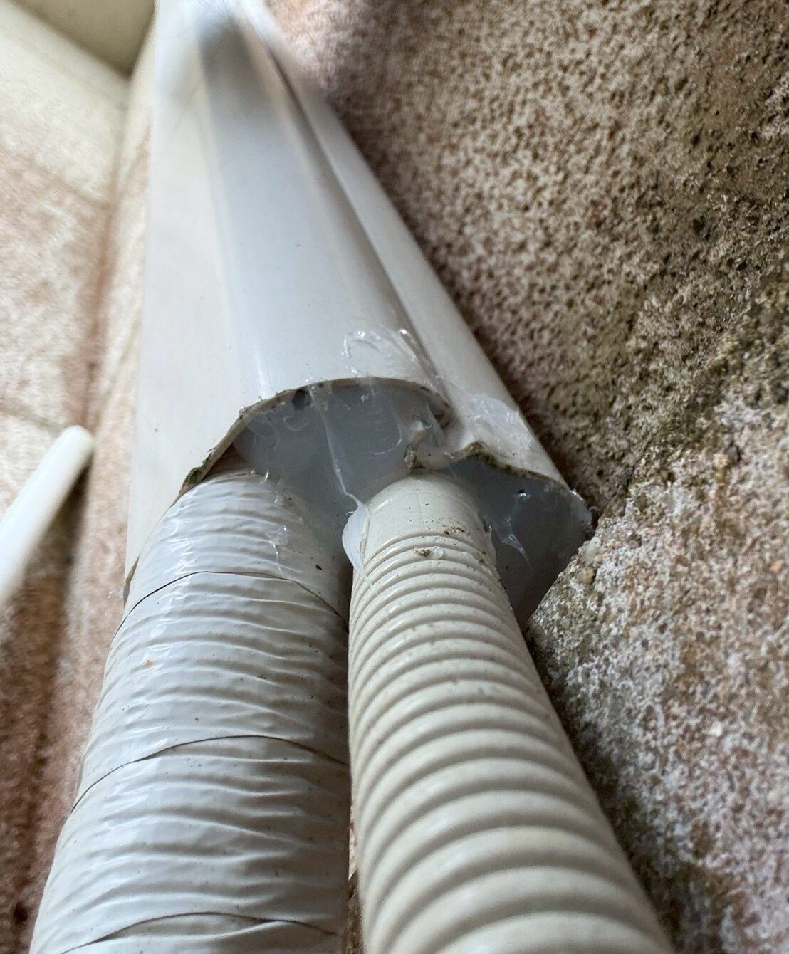 大分市日田市　ネズミによる被害　S様邸　駆除実績