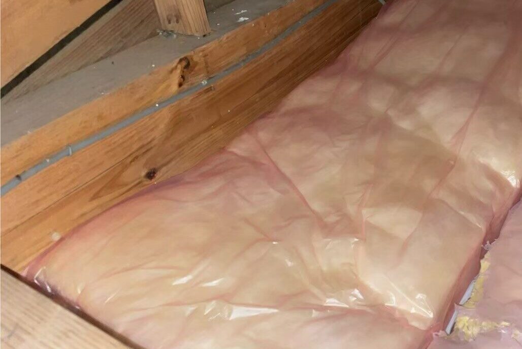 長崎県北松浦郡佐々町　ネズミによる被害　Y様邸　駆除実績