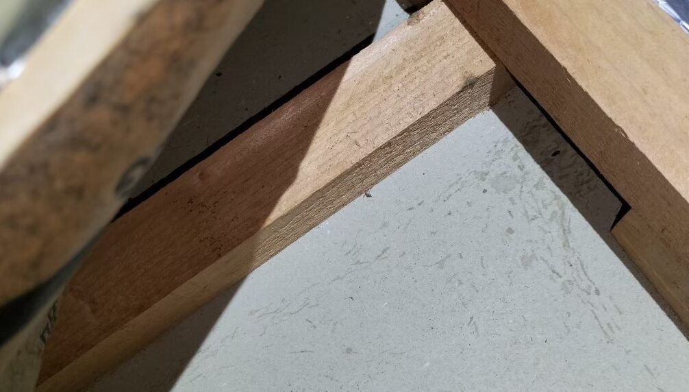 山口県美祢市　ネズミによる被害　S様邸　駆除実績