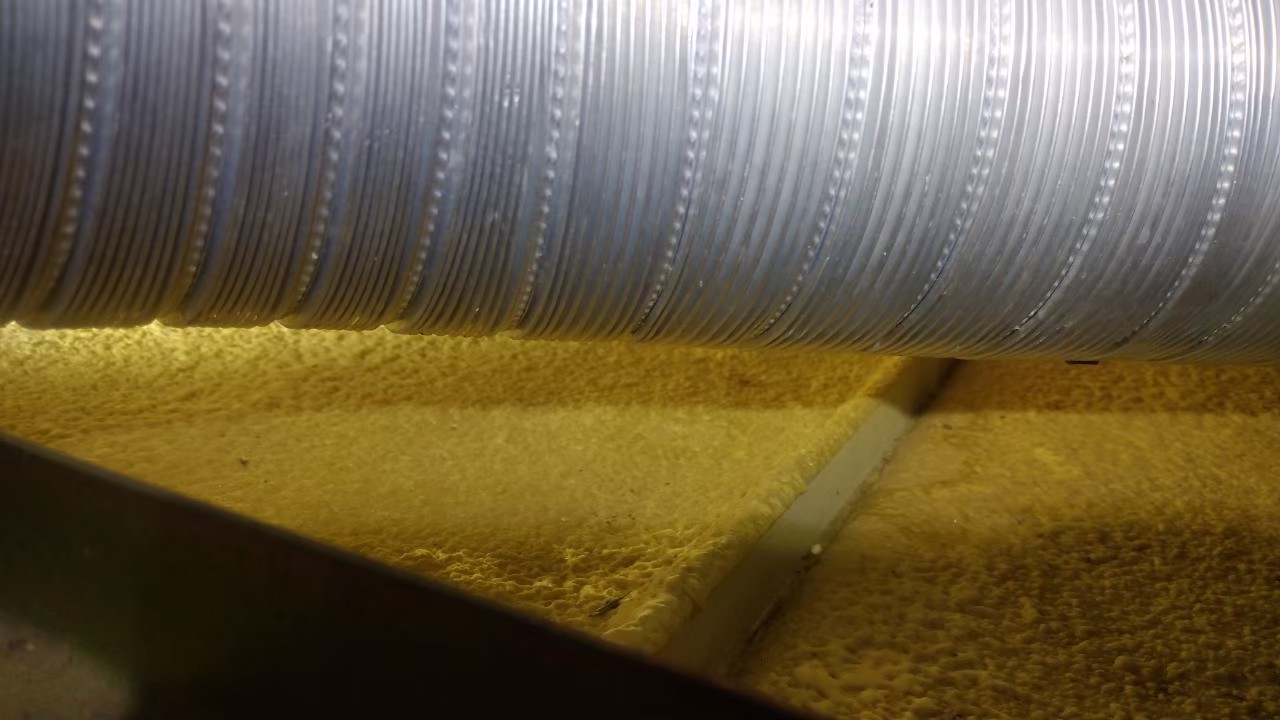 大分県中津市　ネズミによる被害　A様邸　駆除実績