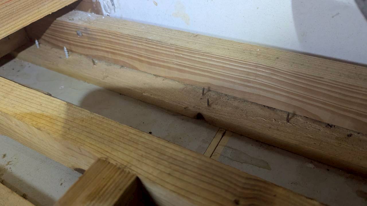 佐賀県鹿島市　ネズミによる被害　K様邸　駆除実績