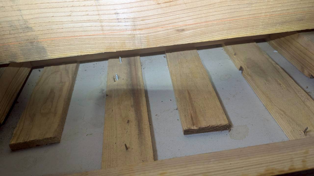 長崎県由布市　ネズミによる被害　Y様邸　駆除実績