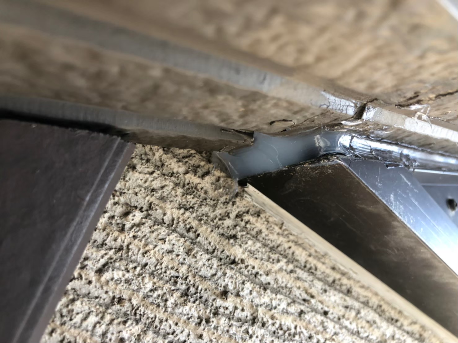 山口県美祢市　ネズミによる被害　S様邸　駆除実績