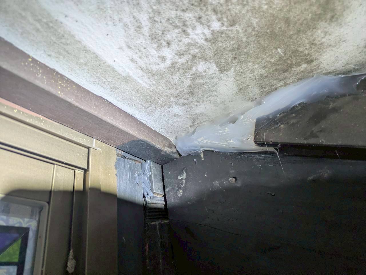 熊本県御船町　ネズミによる被害　M様邸　駆除実績