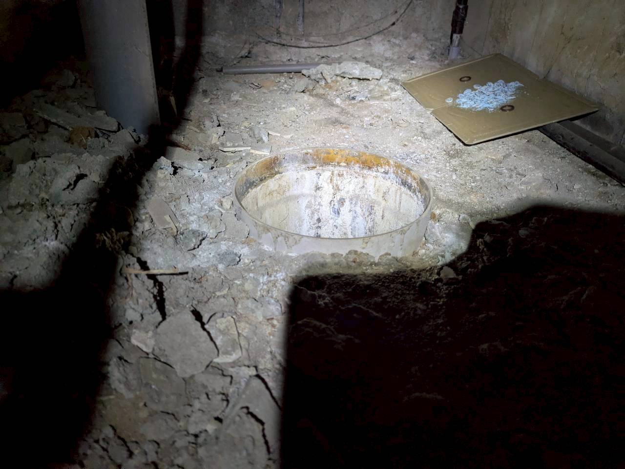 熊本県上益城郡嘉島町　ネズミによる被害　M様邸　駆除実績