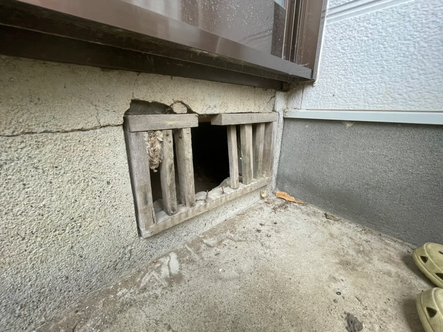 福岡県築上郡上毛町　ネズミによる被害　T様邸　駆除実績