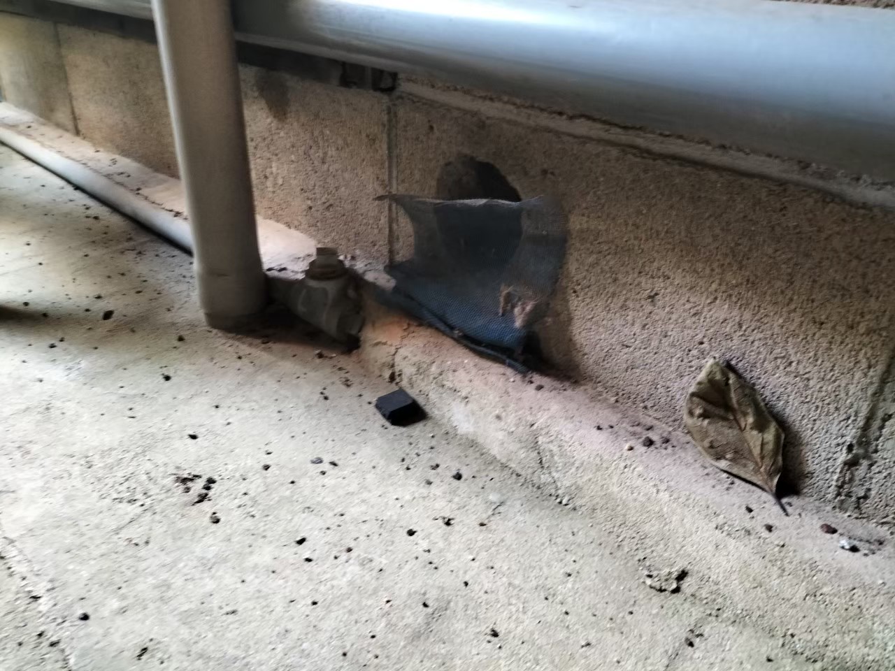 長崎県東彼杵郡波佐見町　ネズミによる被害　W様邸　駆除実績