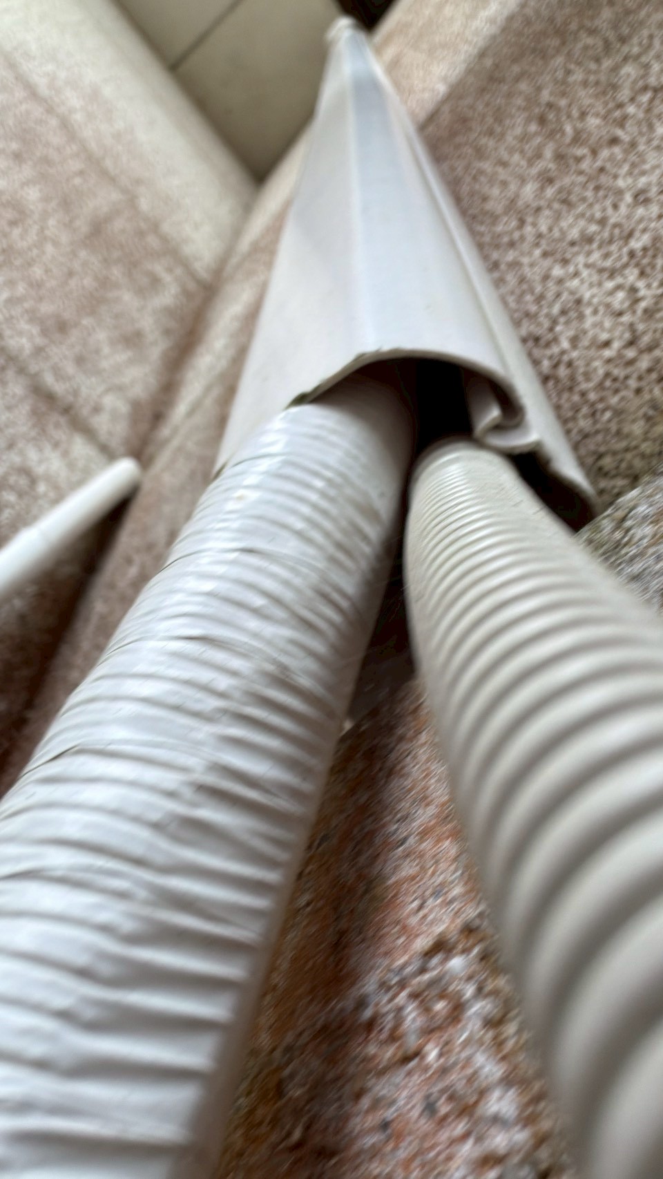 大分市日田市　ネズミによる被害　S様邸　駆除実績