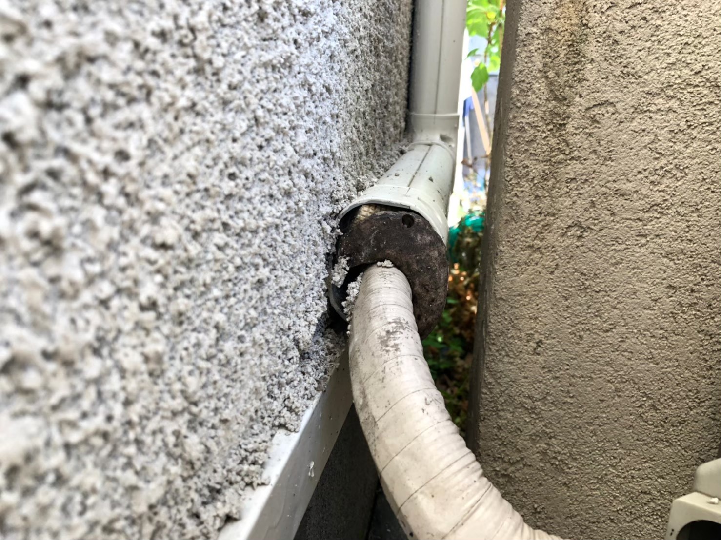 佐賀県多久市　ネズミによる被害　N様邸　駆除実績