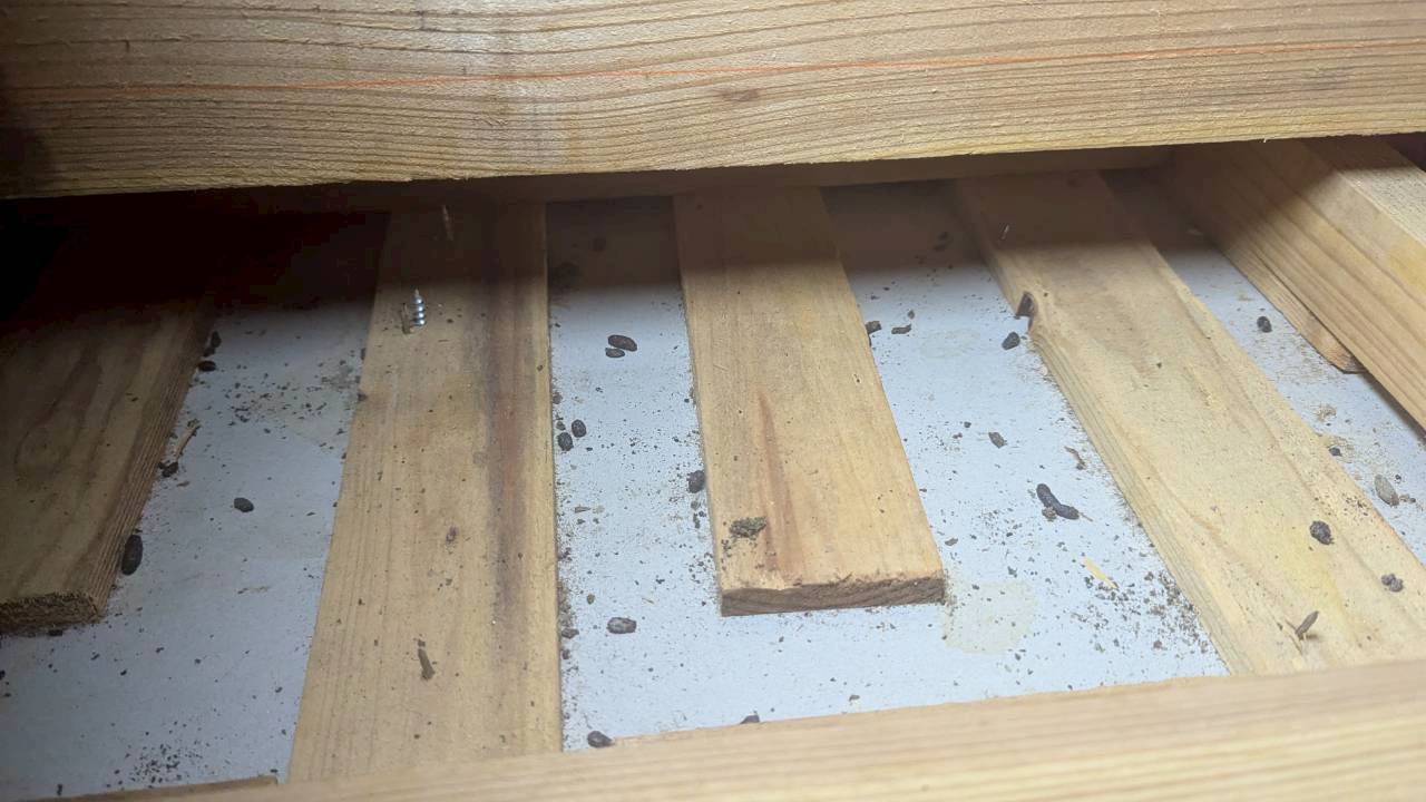 長崎県由布市　ネズミによる被害　Y様邸　駆除実績