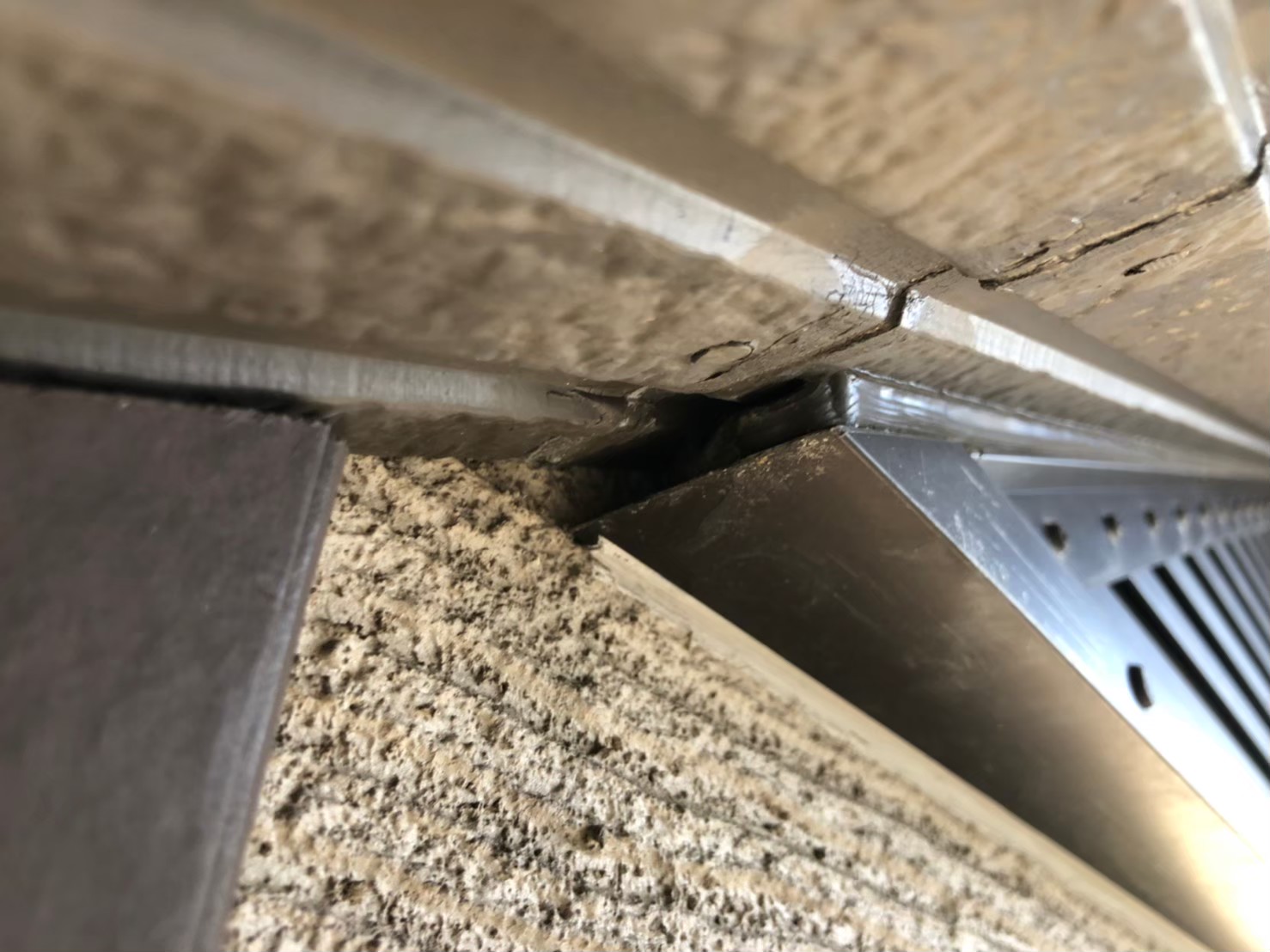 山口県美祢市　ネズミによる被害　S様邸　駆除実績