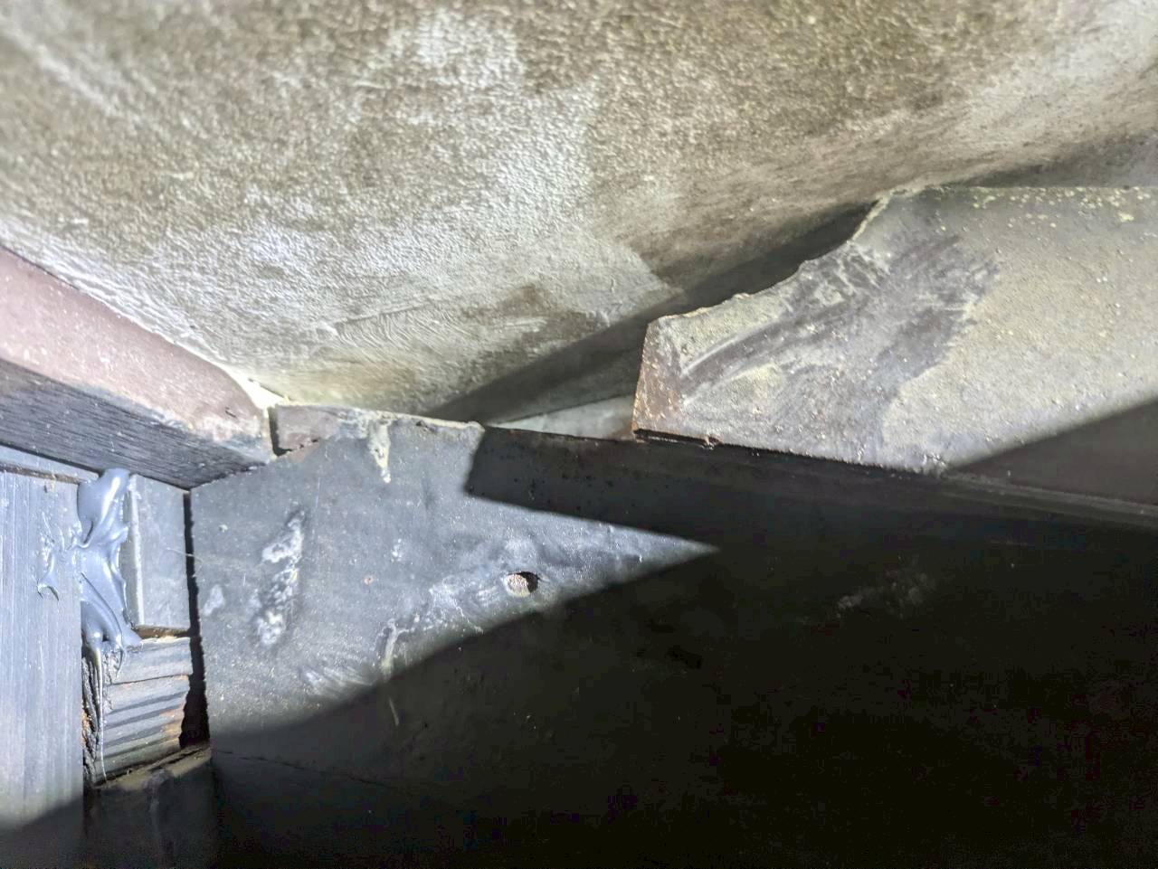 熊本県御船町　ネズミによる被害　M様邸　駆除実績