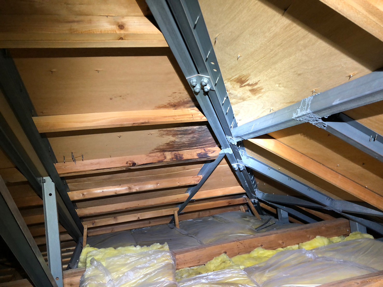 山口県下関市　ネズミによる被害　H様邸　駆除実績