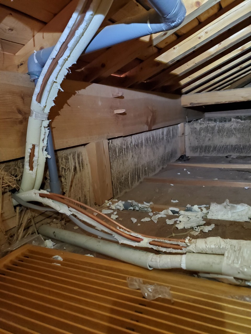 福岡県久留米市　ネズミによる被害　G様邸　駆除実績