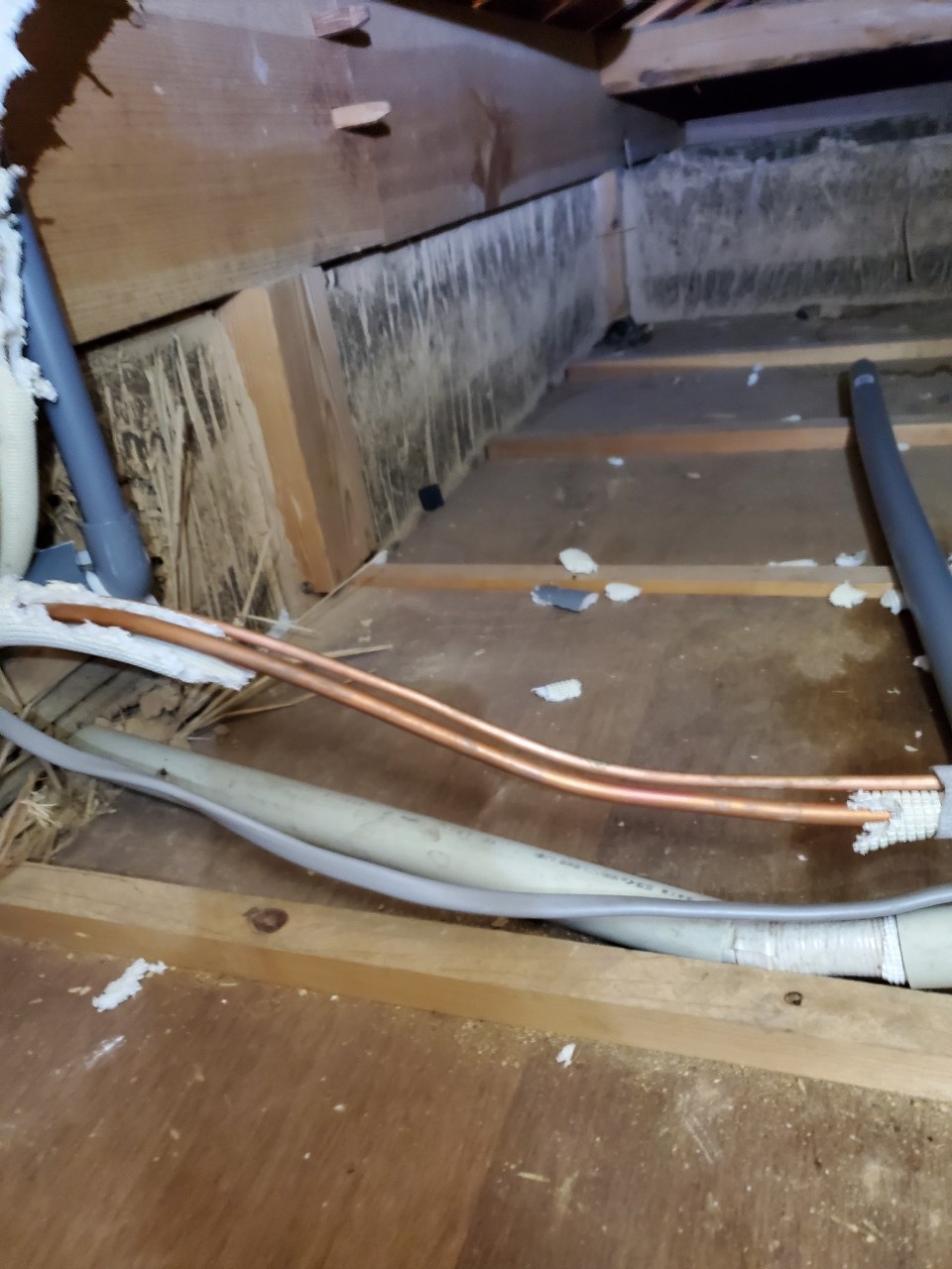 佐賀県鹿島市　ネズミによる被害　K様邸　駆除実績