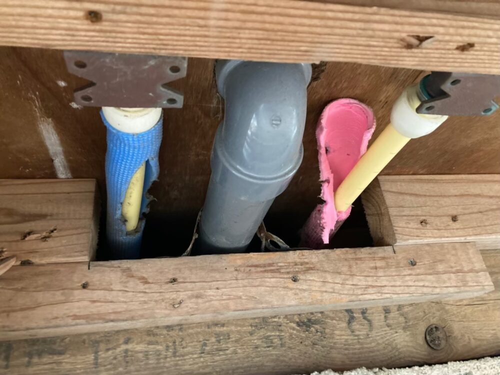 ネズミによる被害　K様邸　駆除実績