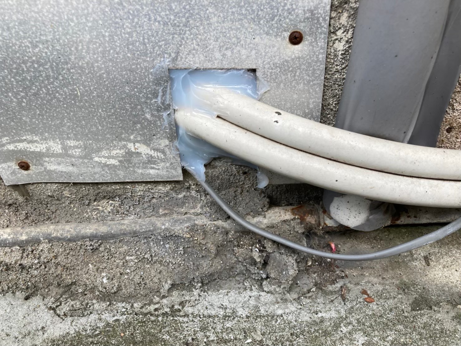 ネズミによる被害　A様邸　駆除実績