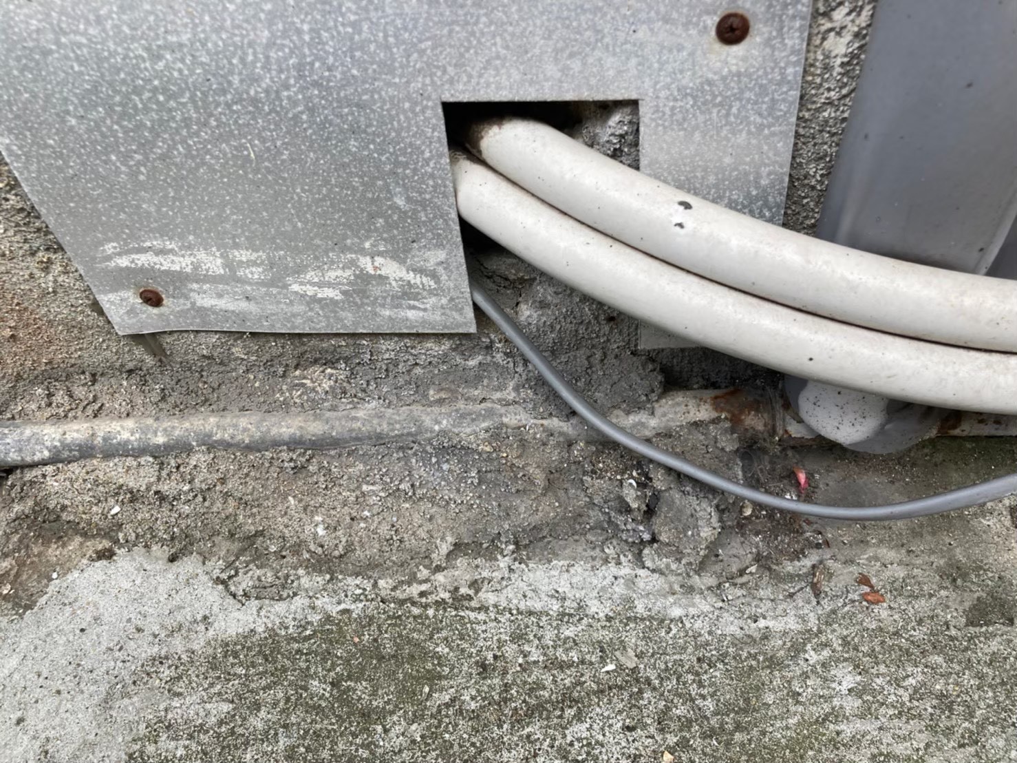 ネズミによる被害　A様邸　駆除実績