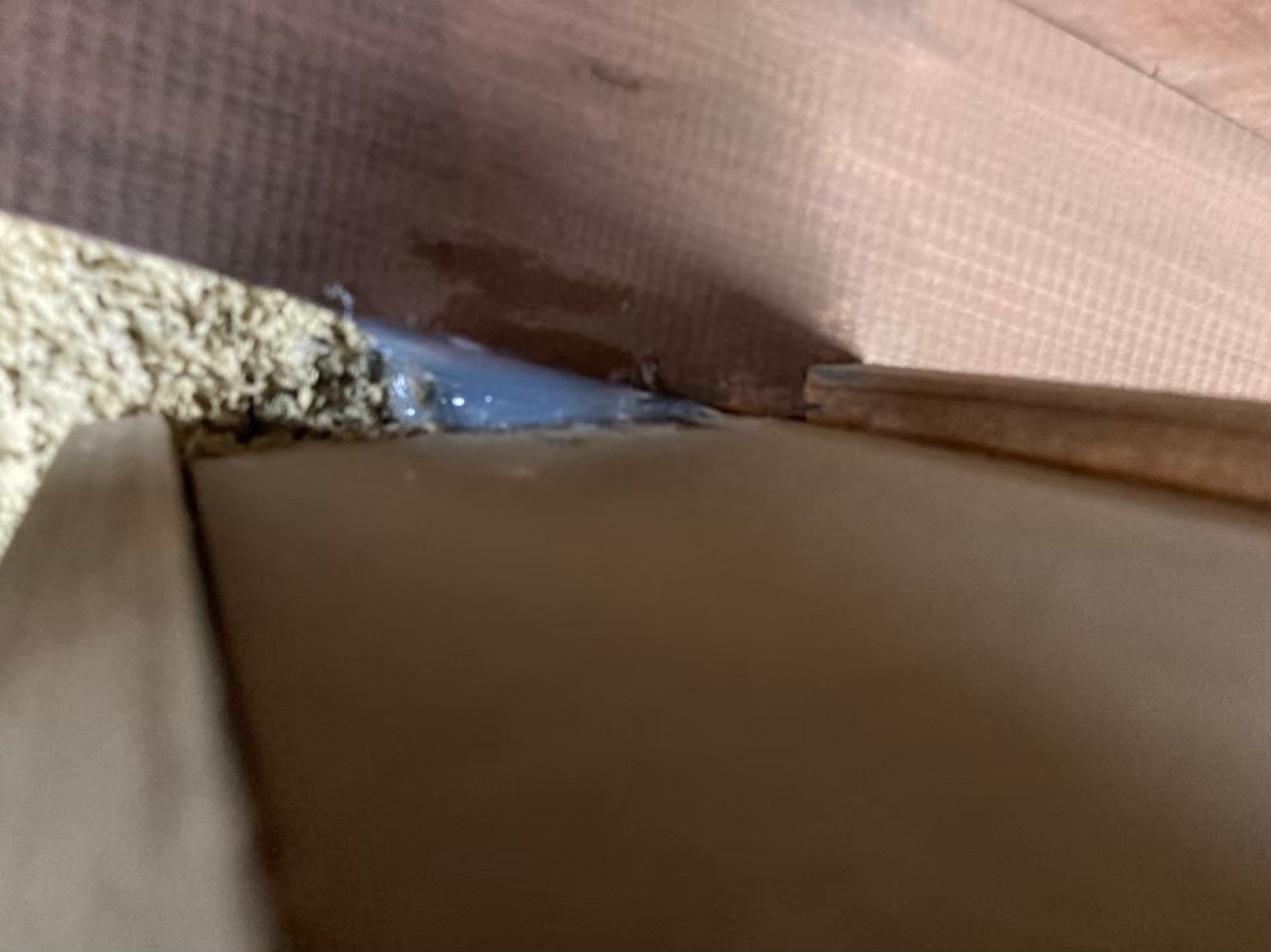 ネズミによる被害　株式会社U　U様　駆除実績