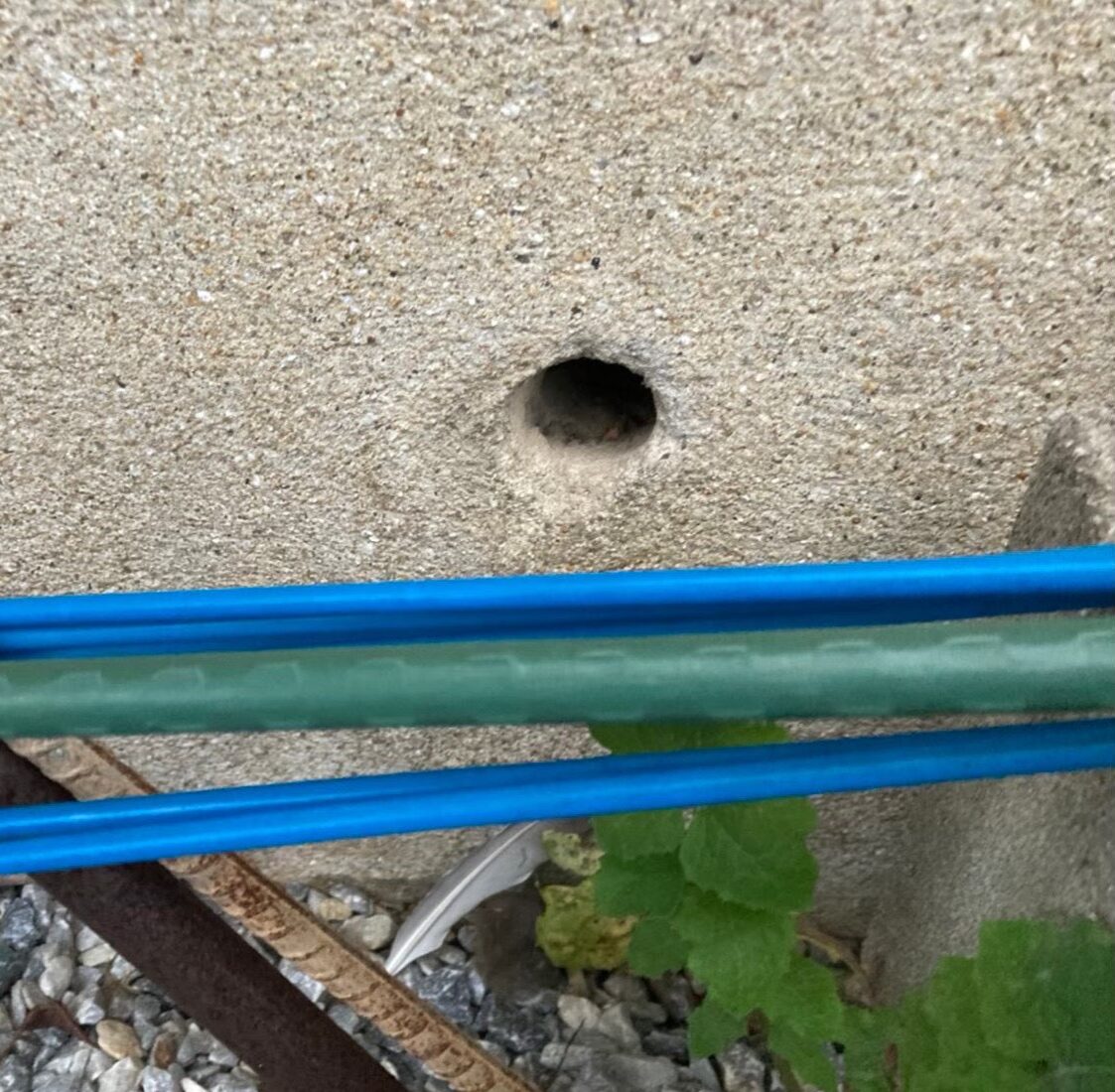 ネズミによる被害　K様邸　駆除実績