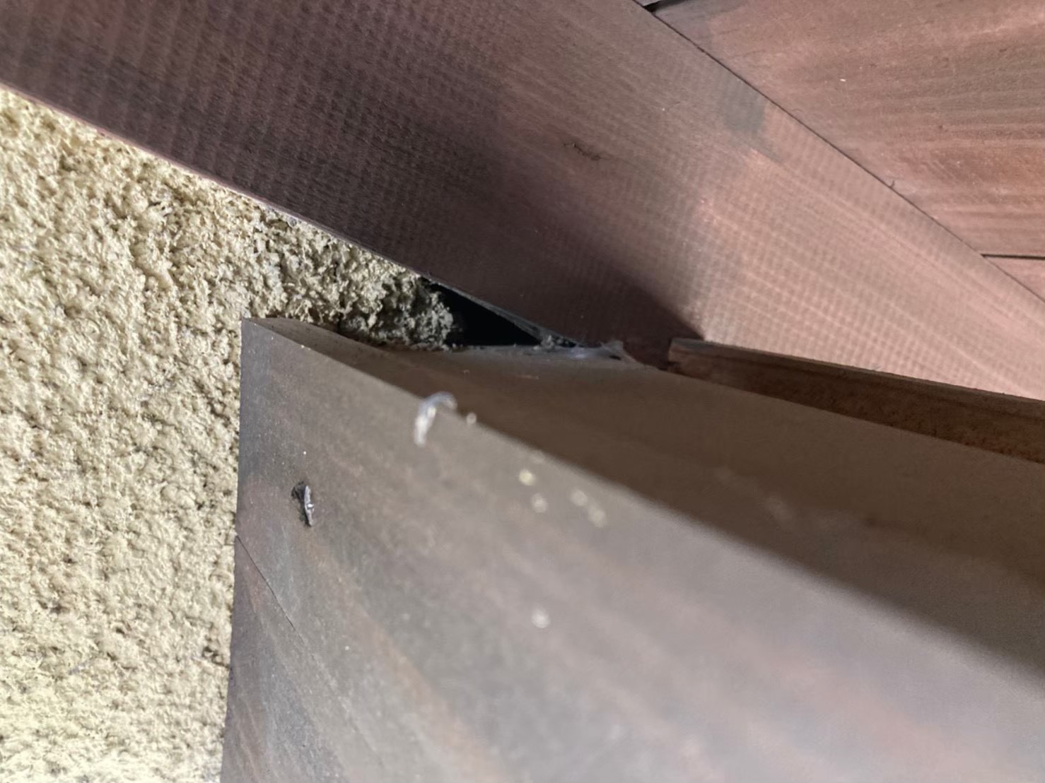 ネズミによる被害　株式会社U　U様　駆除実績