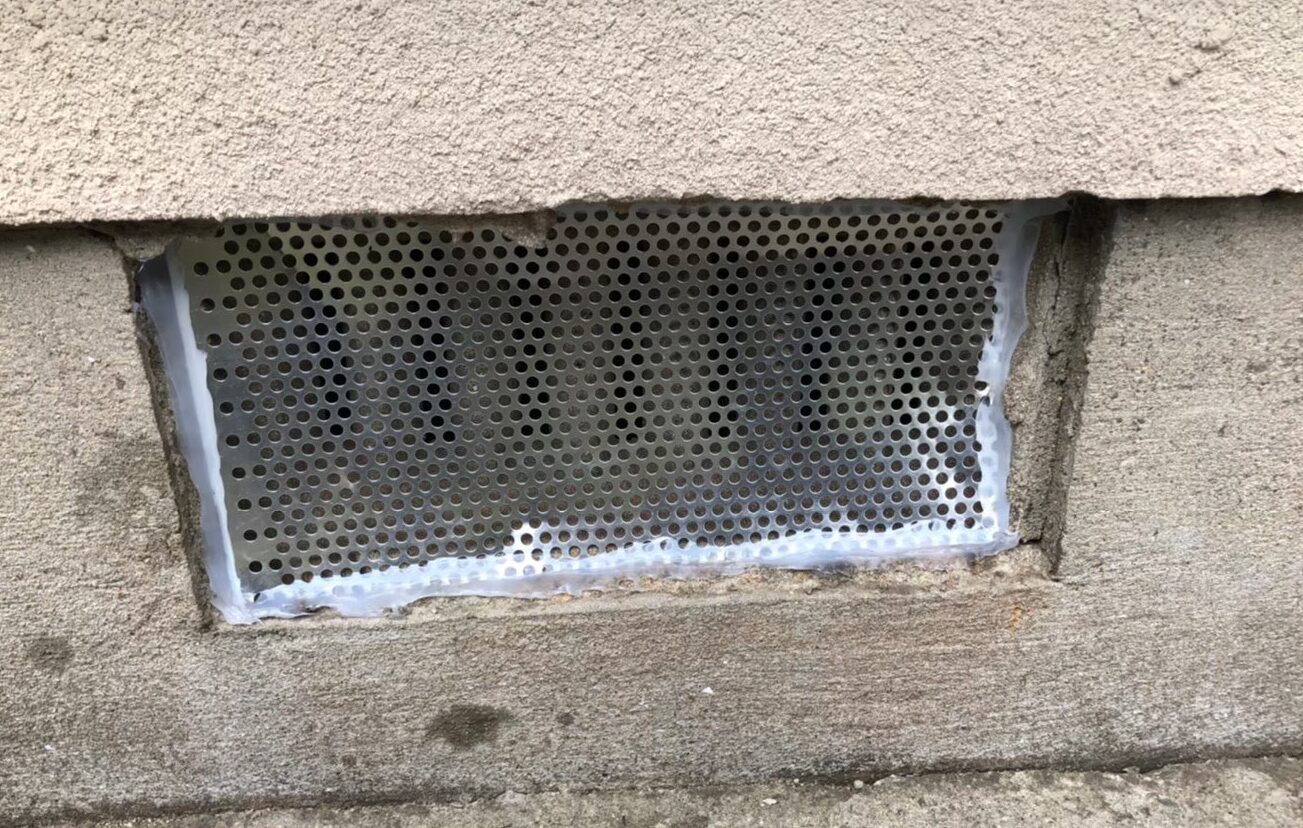 イタチによる被害　H様邸　駆除実績