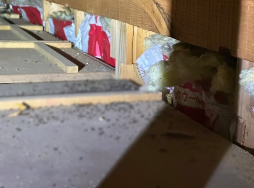 熊本県葦北郡芦北町　ネズミによる被害　Y様邸　駆除実績
