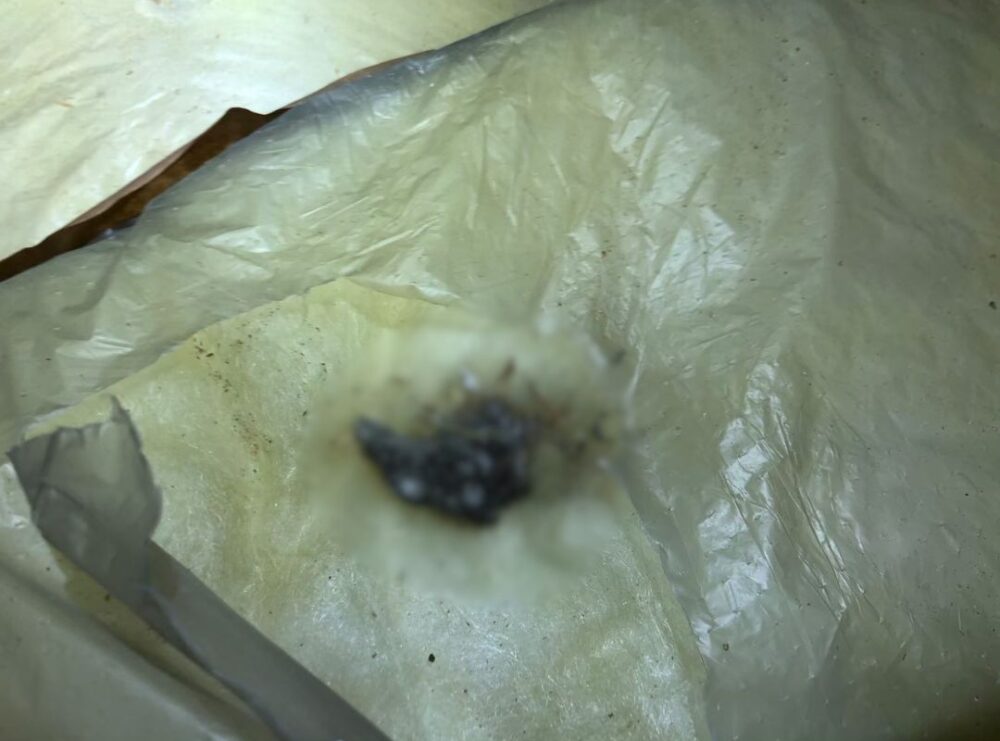 熊本県阿蘇郡西原村　ネズミによる被害　W様邸　駆除実績