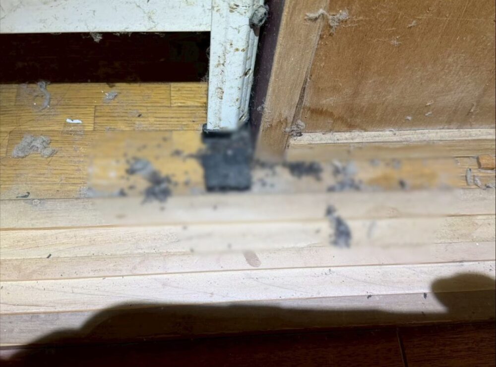 佐賀県小城市　ネズミによる被害　H様邸　駆除実績