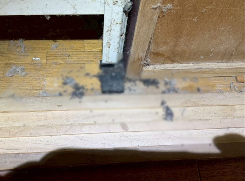 福岡県遠賀郡岡垣町　ネズミによる被害　N様邸　駆除実績