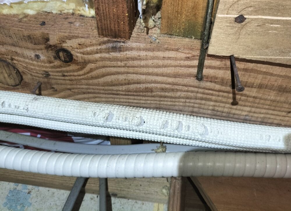 長崎県北松浦郡佐々町　ネズミによる被害　Y様邸　駆除実績