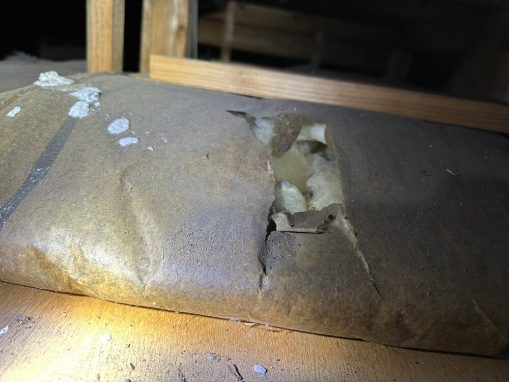 佐賀県武雄市　ネズミによる被害　O様邸　駆除実績