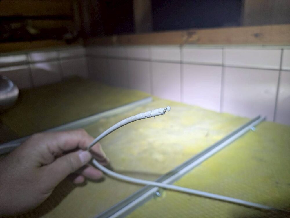 熊本県御船町　ネズミによる被害　M様邸　駆除実績