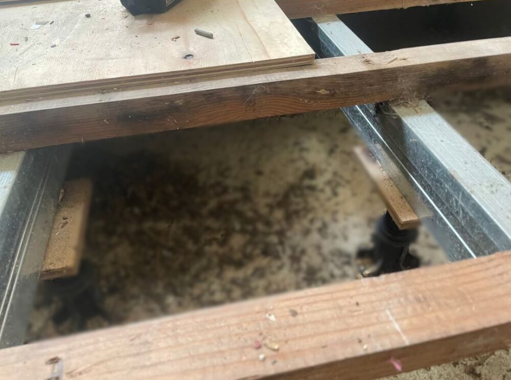 熊本県阿蘇郡小国町　ネズミによる被害　D様邸　駆除実績