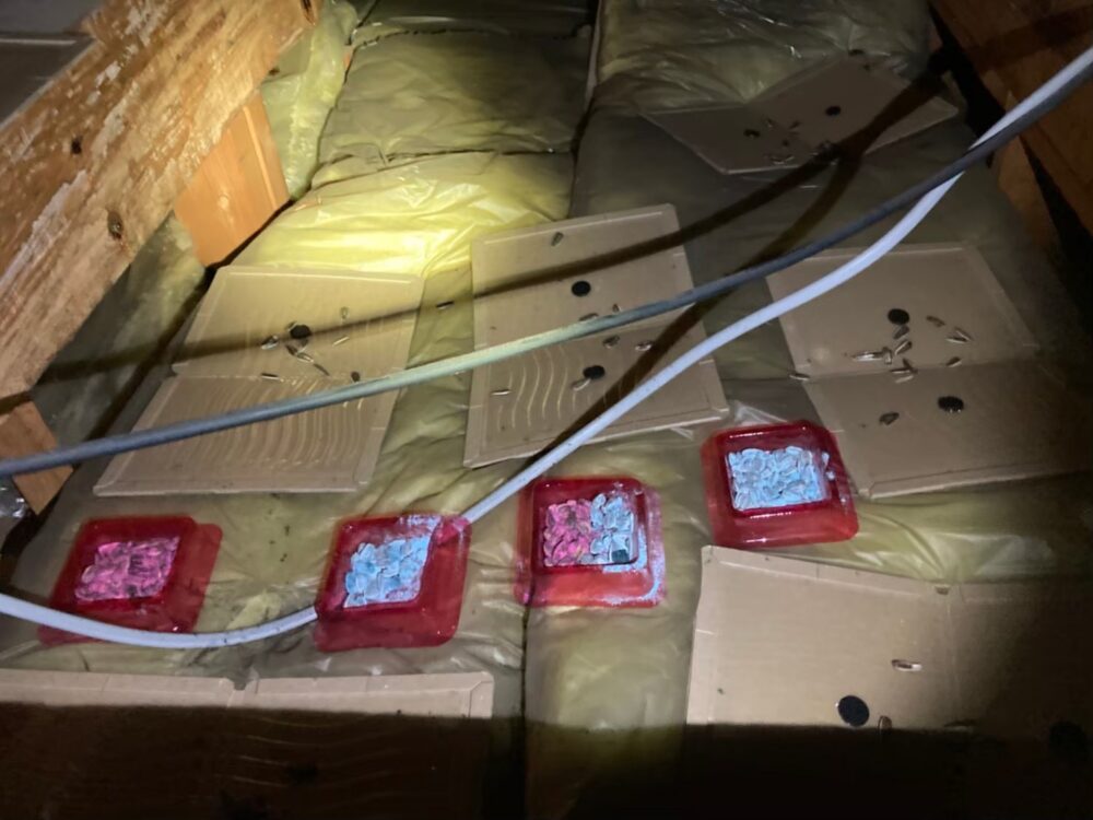 ネズミによる被害　D様邸　駆除実績