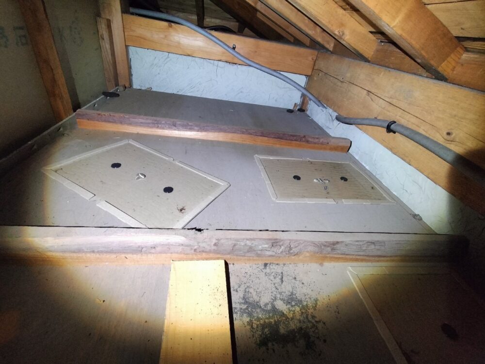 ネズミによる被害　K様邸　駆除実績